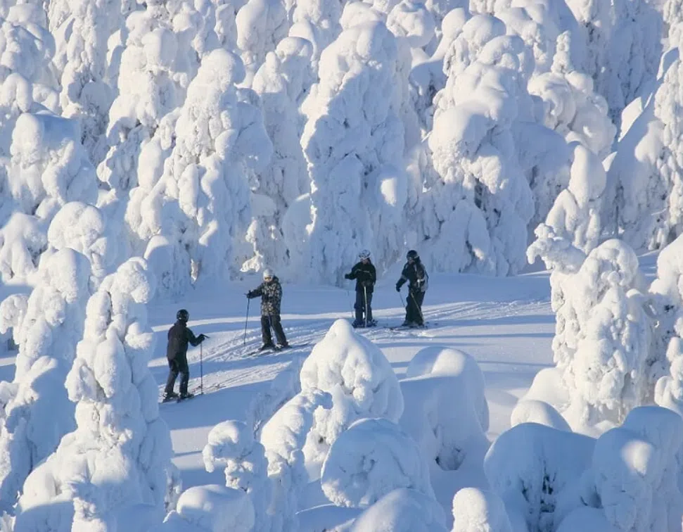 Lapland Cross Country Ski Adventure in Rovaniemi, photo 3