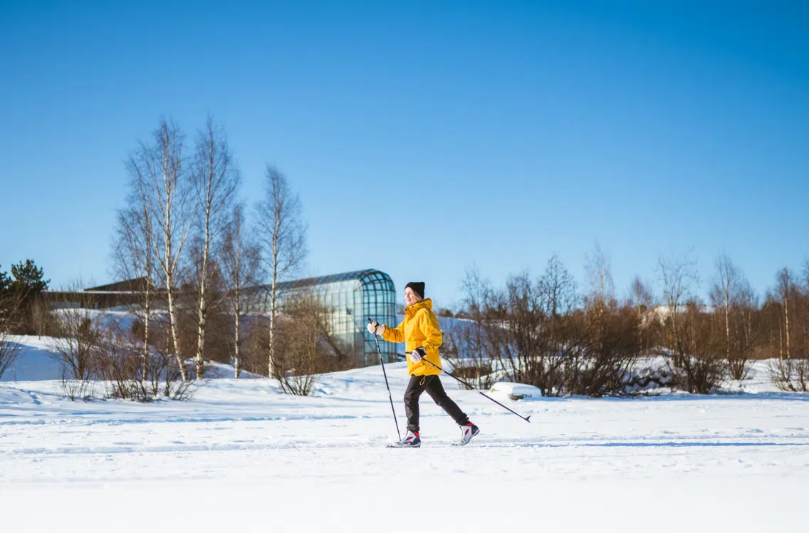 Lapland Cross Country Ski Adventure in Rovaniemi, photo 4