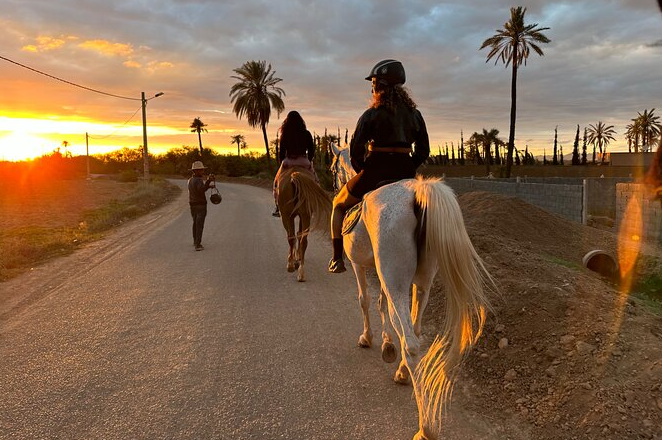 Marrakech Horse Riding Experience in Palm Groves and Countryside gallery 3