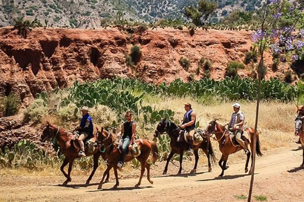 Marrakech Horse Riding Experience in Palm Groves and Countryside gallery 4