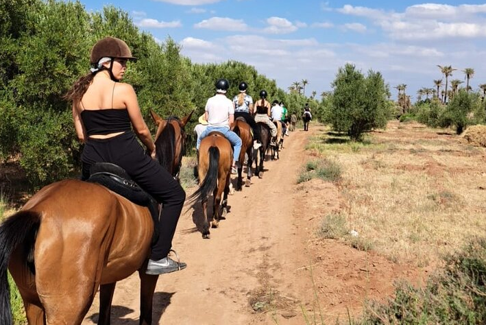 Marrakech Horse Riding Experience in Palm Groves and Countryside gallery 6