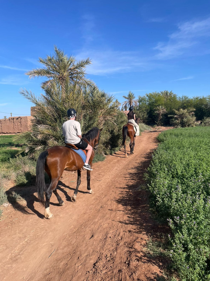Marrakech Horse Riding Experience in Palm Groves and Countryside, photo 5
