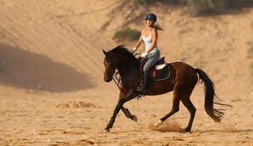 Marrakech Horse Riding Experience in Palm Groves and Countryside, photo 3
