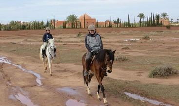Marrakech Horse Riding Experience in Palm Groves and Countryside, photo 4