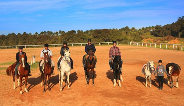 Marrakech Horse Riding Experience in Palm Groves and Countryside, photo 2