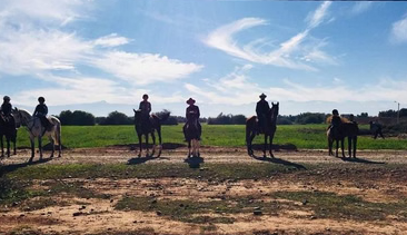Marrakech Horse Riding Experience in Palm Groves and Countryside gallery 2