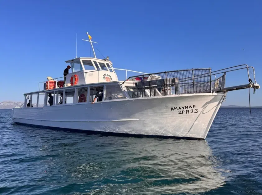 Private Boat Charter in Alcudia Bay, Mallorca, photo 2