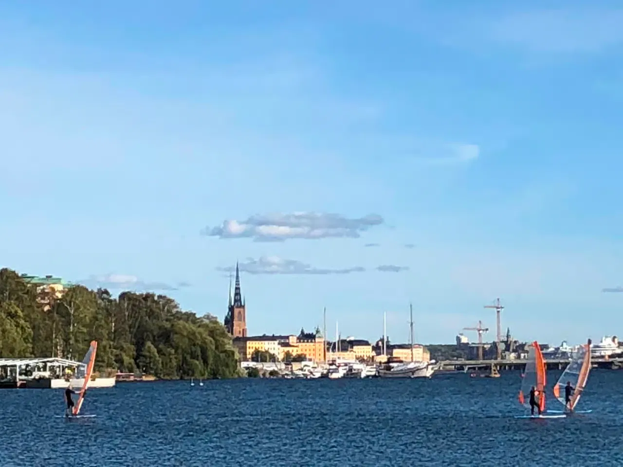 Beginner Windsurfing Crash Course in Stockholm (Full Day Intensive) gallery 4