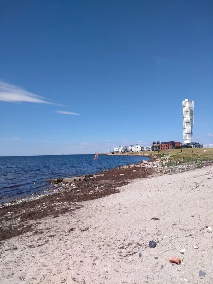 Beginner Windsurfing Progression Lesson in Malmö (Day 2+ Ribersborg), photo 4