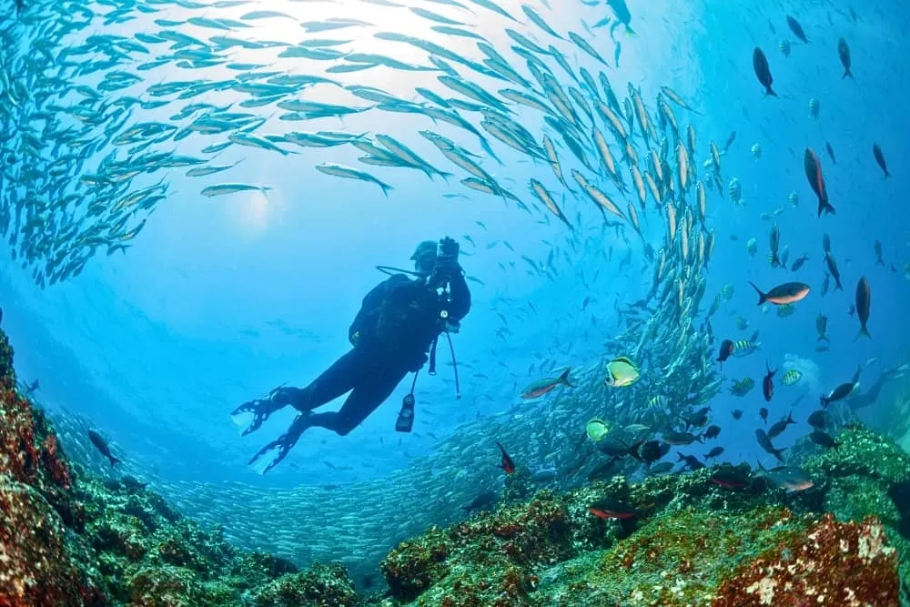 7-Day Galapagos Diving Tour, photo 2