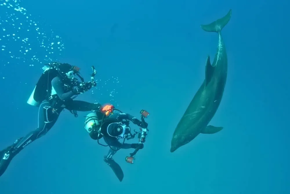 7-Day Galapagos Diving Tour, photo 4
