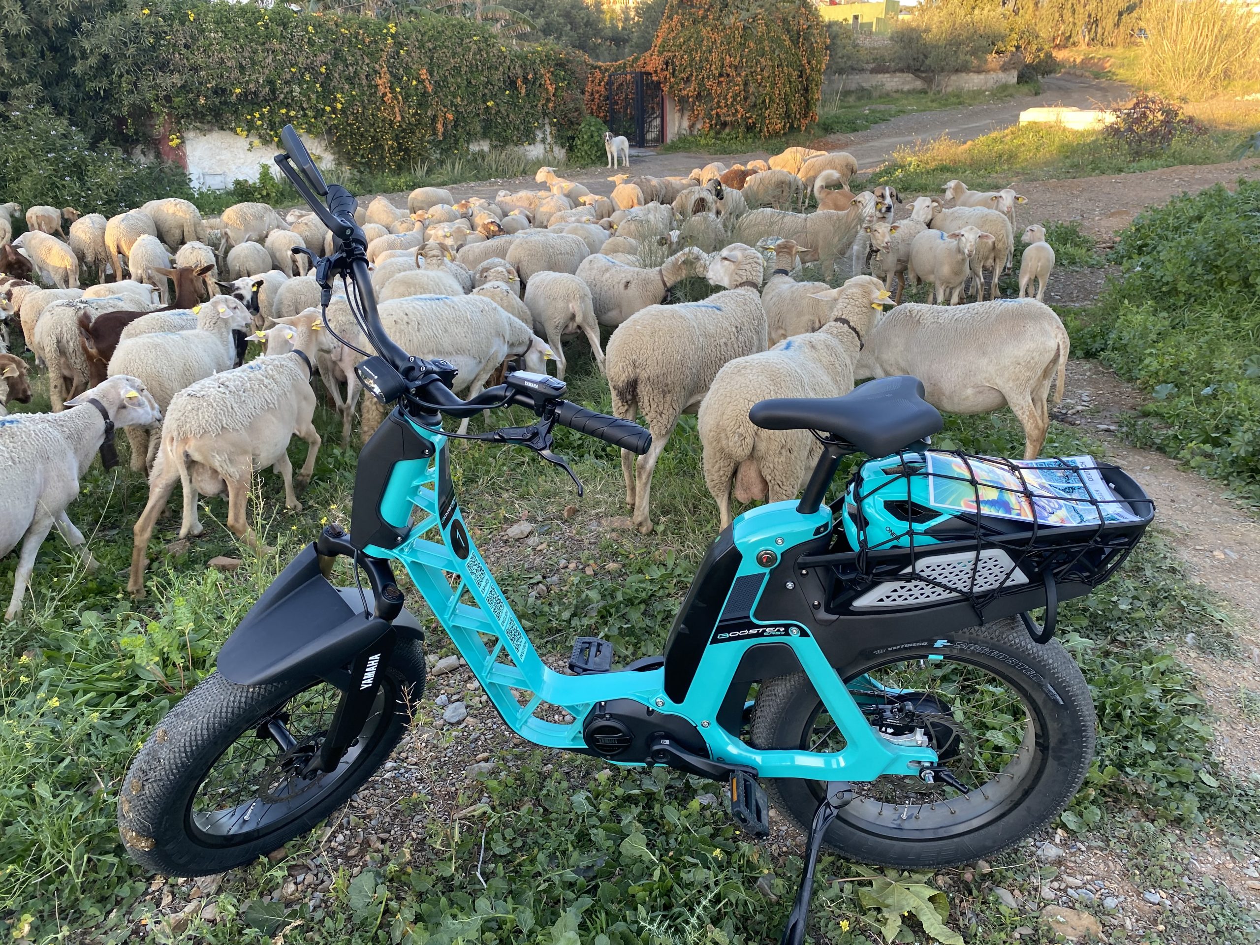 E-Bike Rental in Benajarafe / Malaga, photo 4