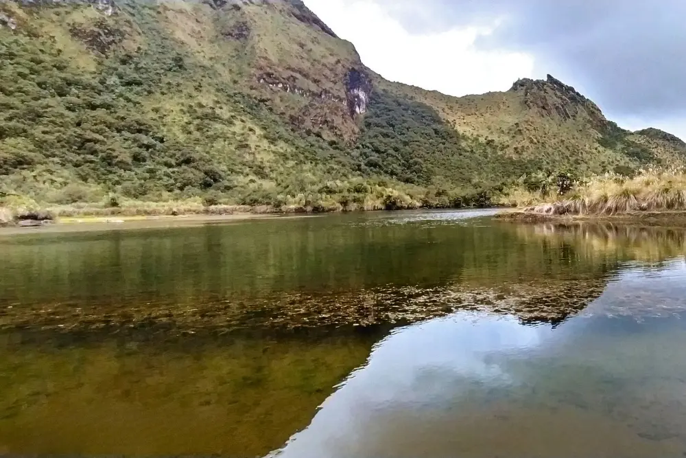 5-Day Amazon Adventure: Cuyabeno & Papallacta, Ecuador gallery 3