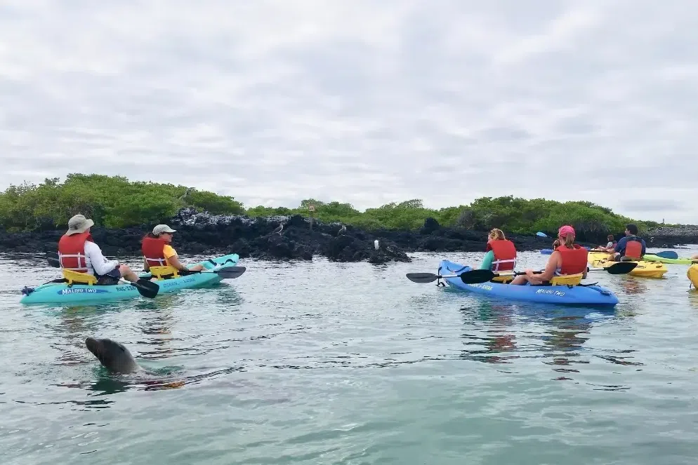 8-Day Galapagos Biking Hiking Snorkelling and Kayaking Adventure, photo 2