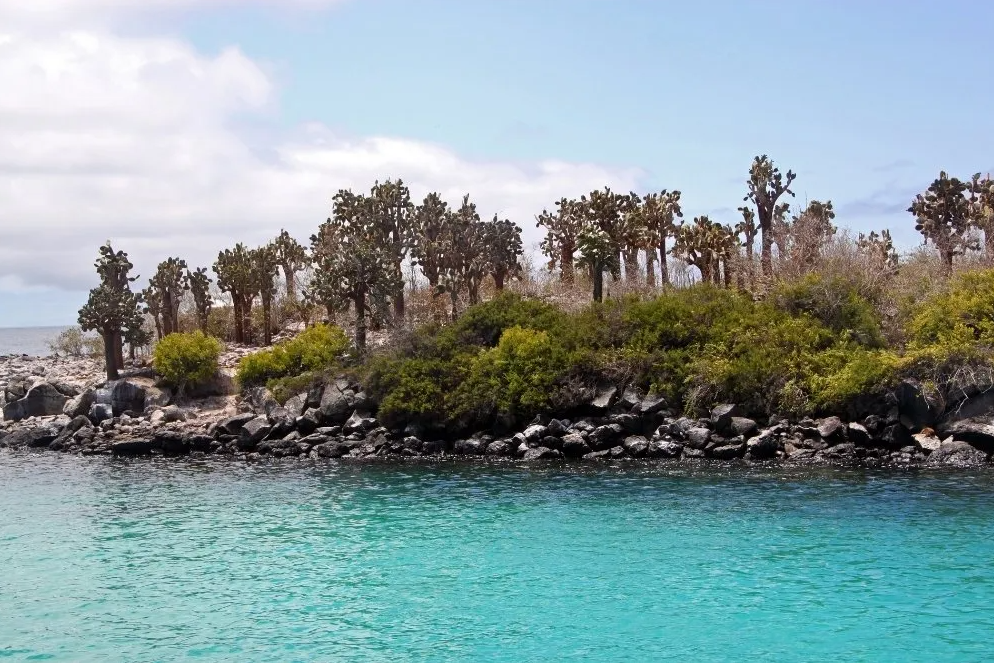 8-Day Galapagos Biking Hiking Snorkelling and Kayaking Adventure gallery 3