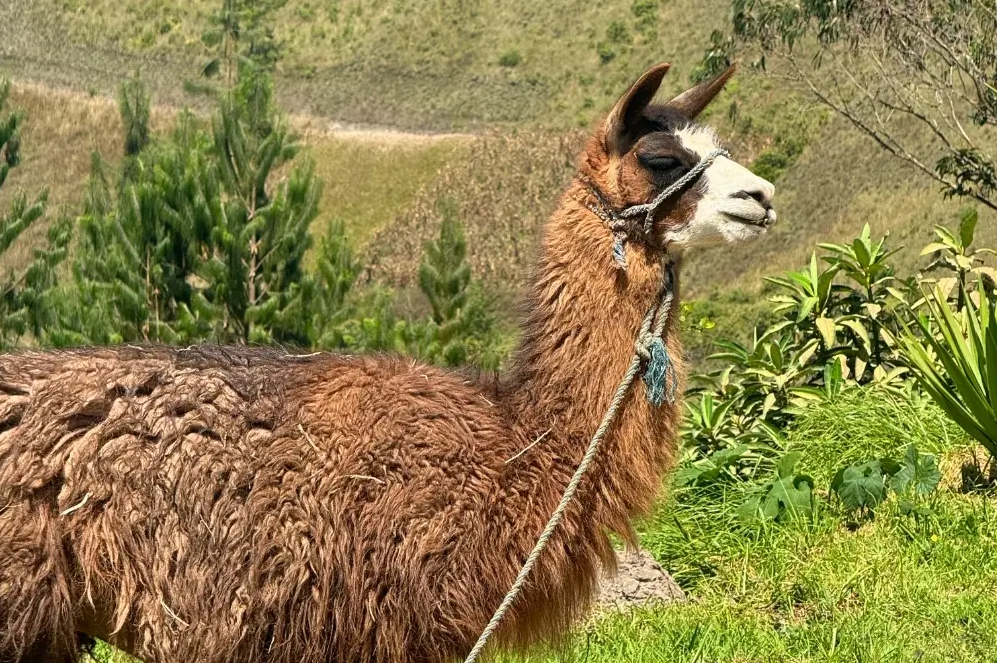 6-Day Ecuador Andes Hiking – Villages Volcanoes and Waterfalls, photo 5