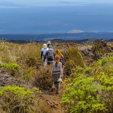 Day 2 – Sierra Negra Volcano Hike and Snorkelling 1