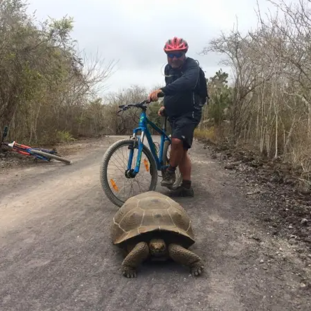 Day 3 – Biking and Snorkelling at Tintoreras Islet 1