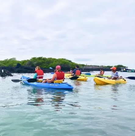 Day 4 – Kayaking and Highlands Exploration 1