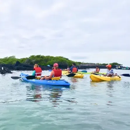Day 3 – Kayaking or Paddleboarding and Transfer to Santa Cruz 1