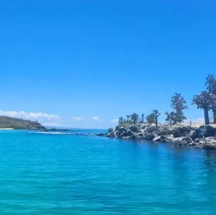 Day 4 – Santa Fe or Pinzon Island Excursion 1