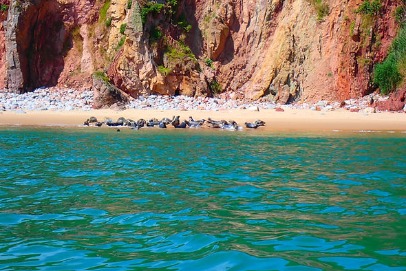Kayak Seal Safari – Tenby Beach to Caldey Island gallery 4