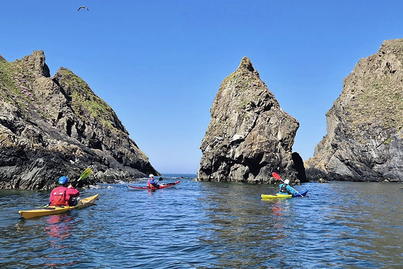 Sea Kayaking Trips in Pembrokeshire and Surrounds gallery 10
