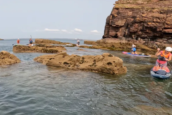 Coastal and Sheltered Paddleboard Trips in Pembrokeshire gallery 3