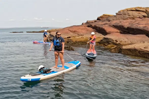 Family and Group Paddleboard Tours in Pembrokeshire, listing photo
