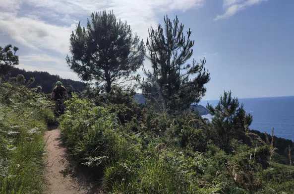 Mountain Bike Tour in San Sebastián, photo 2
