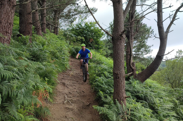 Mountain Bike Tour in San Sebastián, listing photo