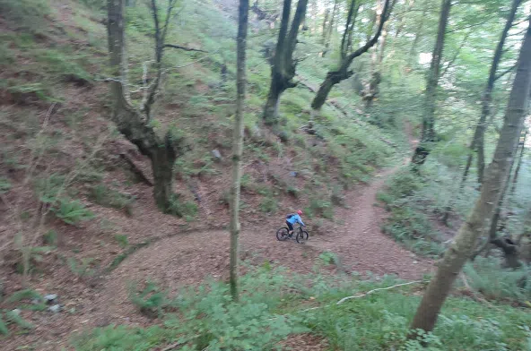 Mountain Bike Rental in San Sebastián, photo 2