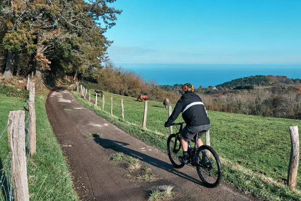 Premium E-MTB Tour in San Sebastián, photo 2