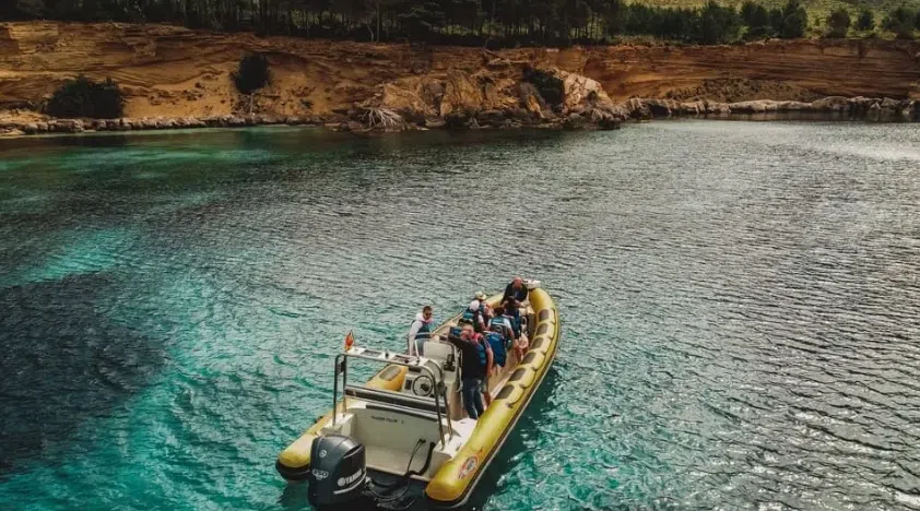 Dolphin Watching Boat Tour in Can Picafort, photo 2