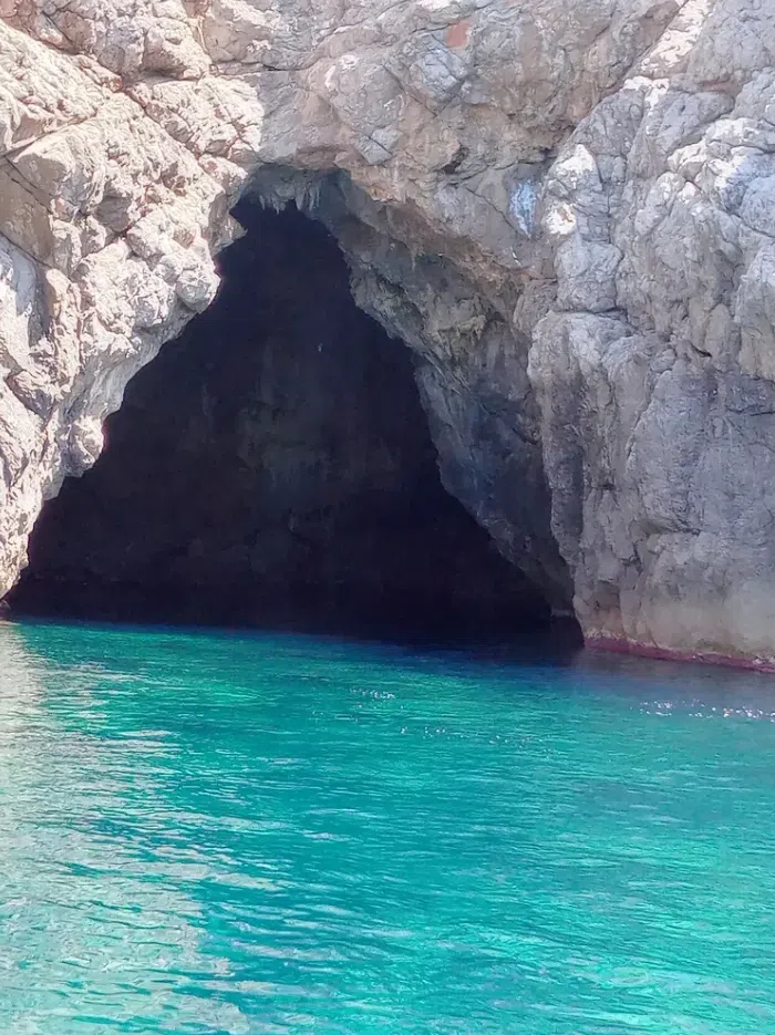 Dolphin Watching Boat Tour in Can Picafort gallery 7