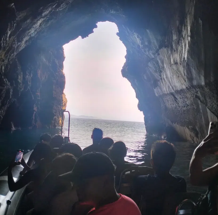 Dolphin Watching Boat Tour in Can Picafort gallery 9