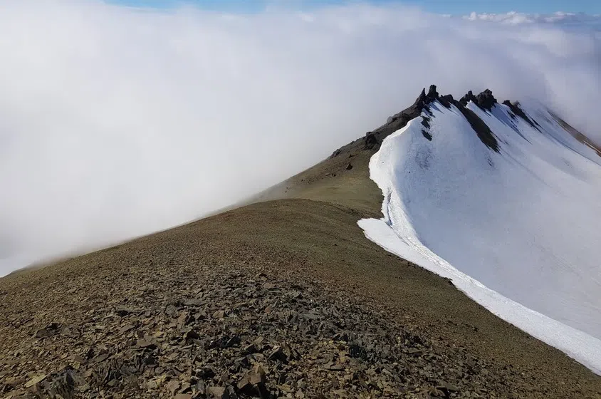 Wild Iceland Expedition to Nupstaðarskógar, photo 2