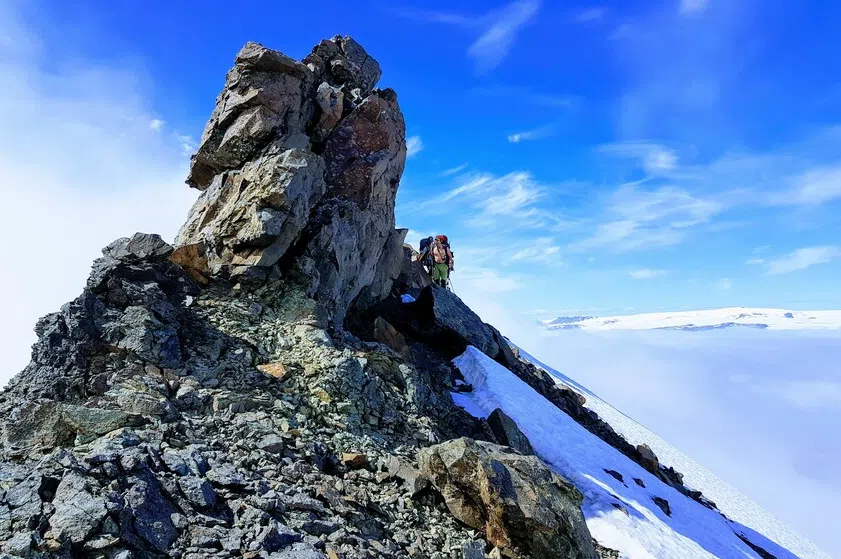 Wild Iceland Expedition to Nupstaðarskógar gallery 5
