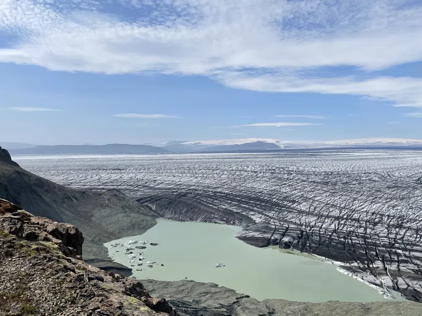 Wild Iceland Expedition to Nupstaðarskógar, photo 5