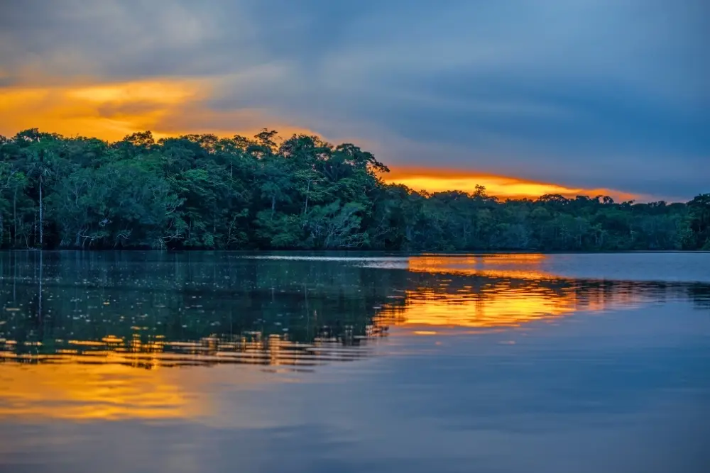 5-Day Amazon Adventure: Cuyabeno & Papallacta, Ecuador gallery 4