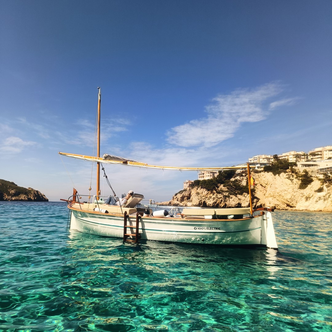 Full Day Electric Boat Experience in Palma Bay, photo 3