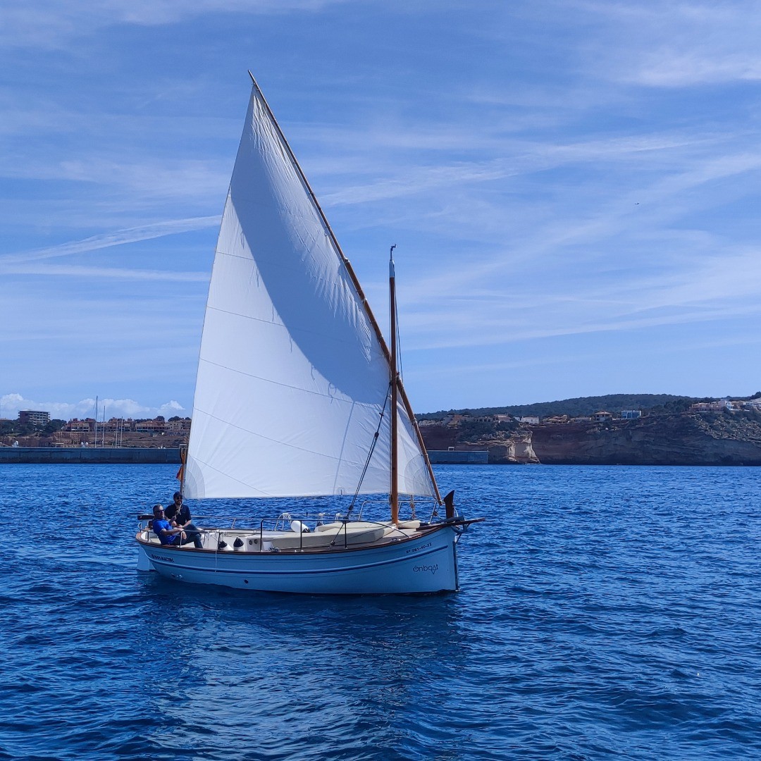 Full Day Electric Boat Adventure to the Malgrats Islands & El Toro, photo 3