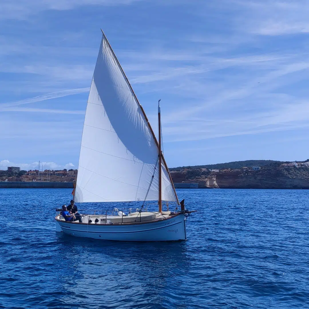 Full Day Electric Boat Experience in Palma Bay, photo 2