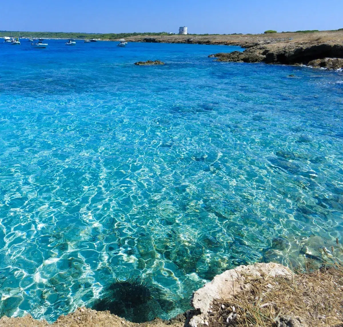 Private Boat Tour to Punta Pizzo & Sant’Andrea Island gallery 6