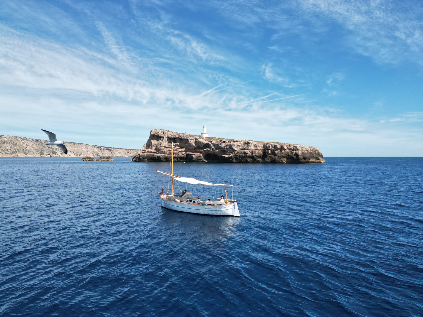 Sunset Electric Boat Experience from Port Adriano, photo 3