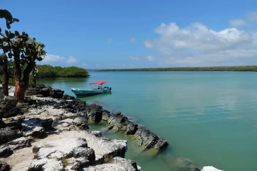 7-Day Galapagos Diving Tour gallery 3