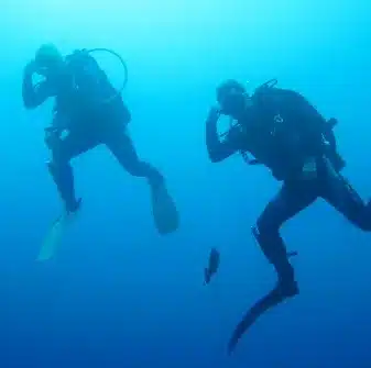 PADI Peak Performance Buoyancy Course, photo 4