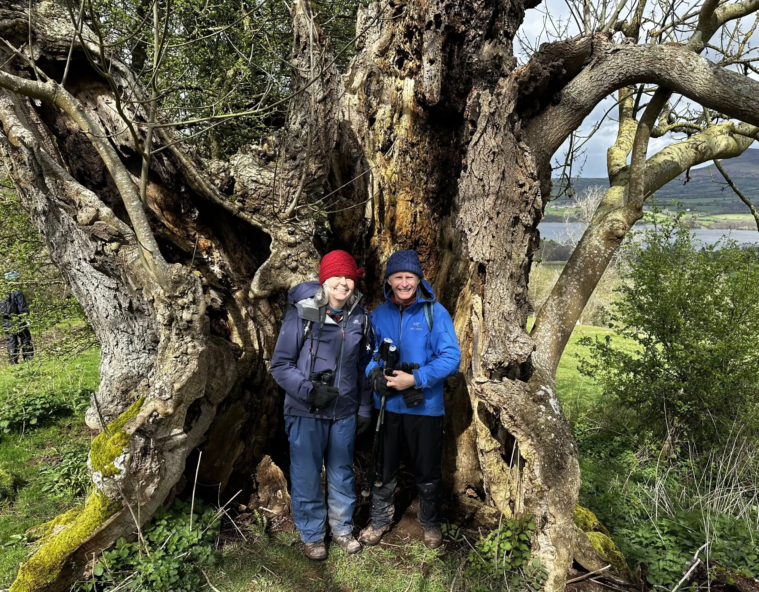 Llangorse Lake & Hill Fort: A Scenic Circular Walk, photo 5