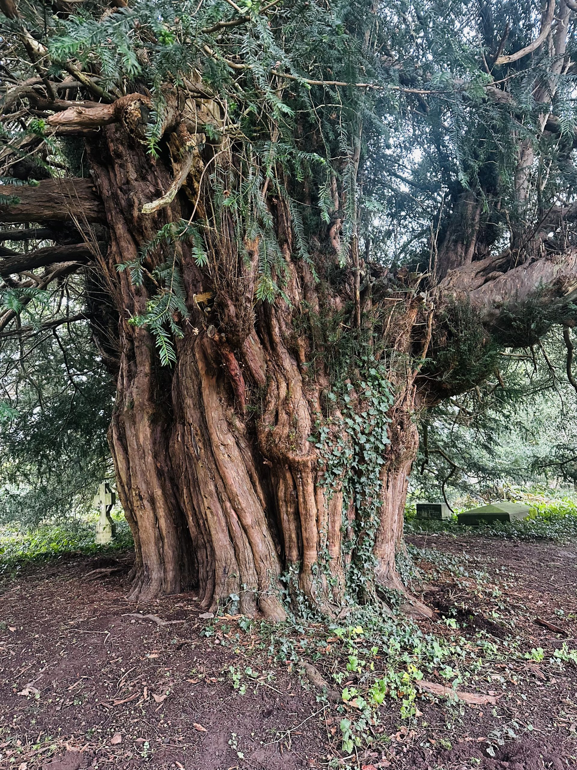 Hay-on-Wye Borders Walk: Forests, Hills, Panoramic Views gallery 4
