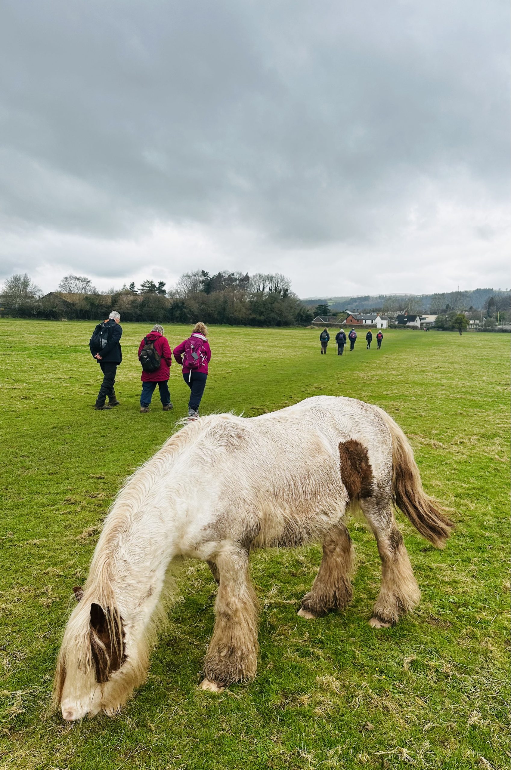 Hay-on-Wye Explorer: History, Borders, and Nature gallery 7